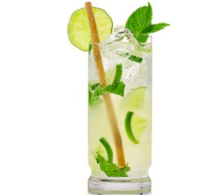 Pudina Punch Mojito